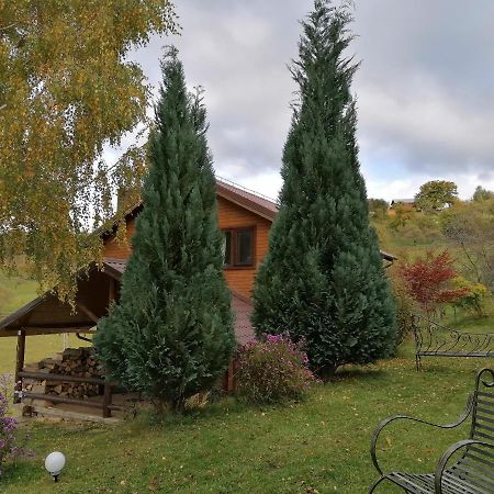 Villa Casa Zara Bran  Esterno foto