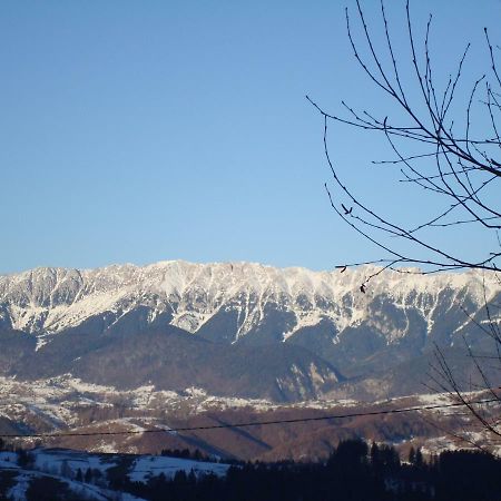 Villa Casa Zara Bran  Esterno foto