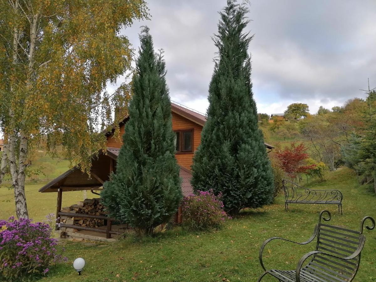 Villa Casa Zara Bran  Esterno foto