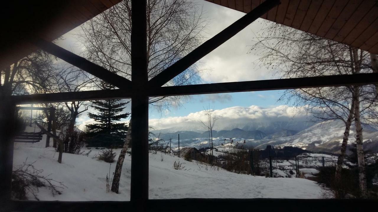 Villa Casa Zara Bran  Esterno foto