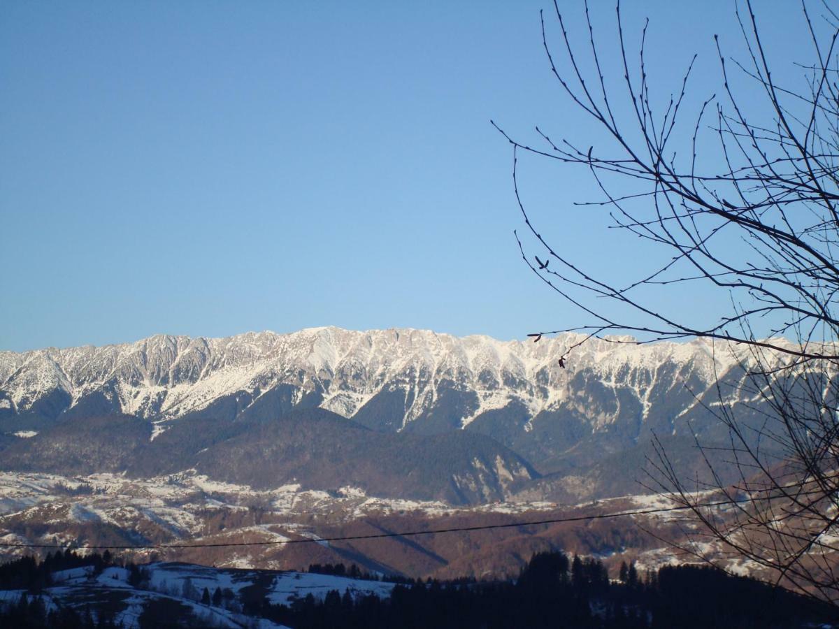 Villa Casa Zara Bran  Esterno foto