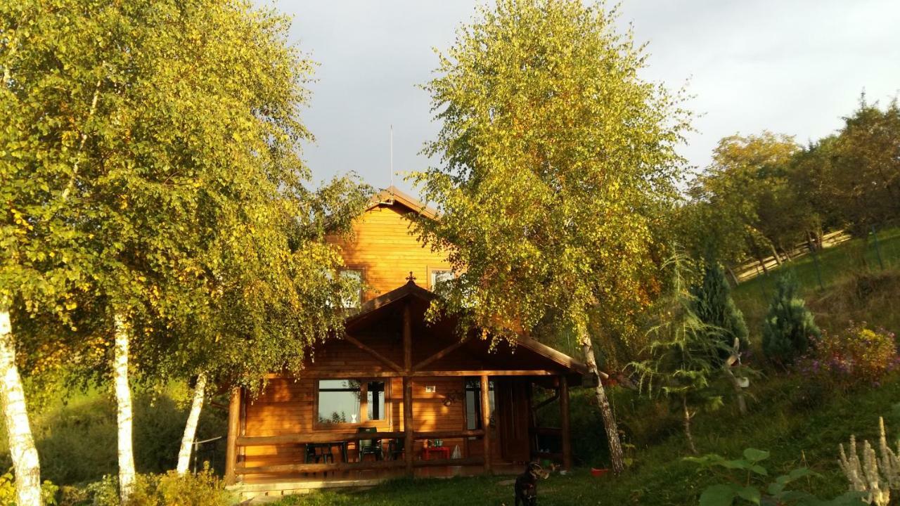 Villa Casa Zara Bran  Esterno foto