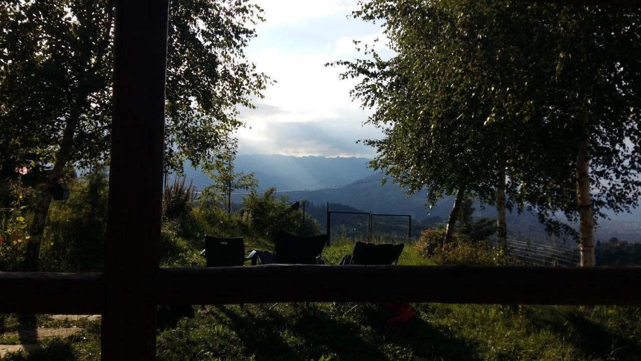 Villa Casa Zara Bran  Esterno foto