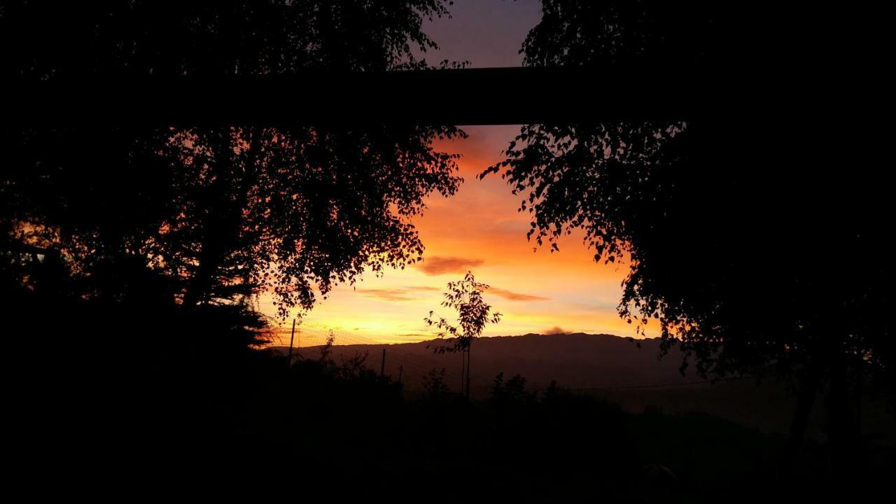 Villa Casa Zara Bran  Esterno foto